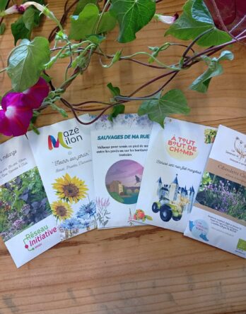 Sachets de graines personnalisés