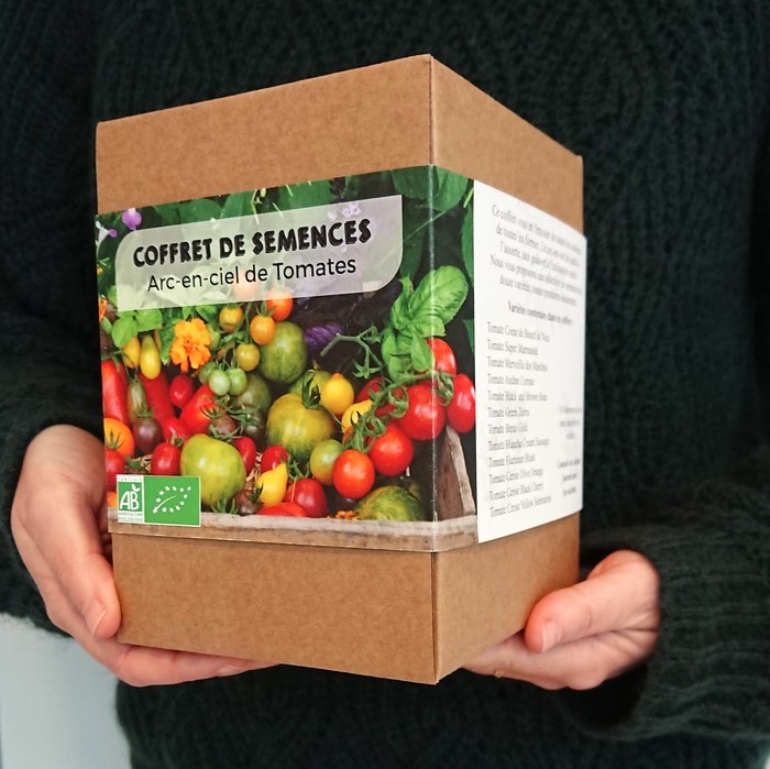 Graines De Tomates Suspendues Domingo De Semillas Batlle – Pour Des Tomates En Pot Ou En Suspension, Goût Et Rendement Au Top
