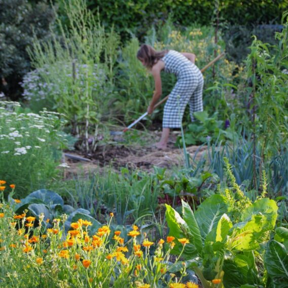 jardinière dans son potager