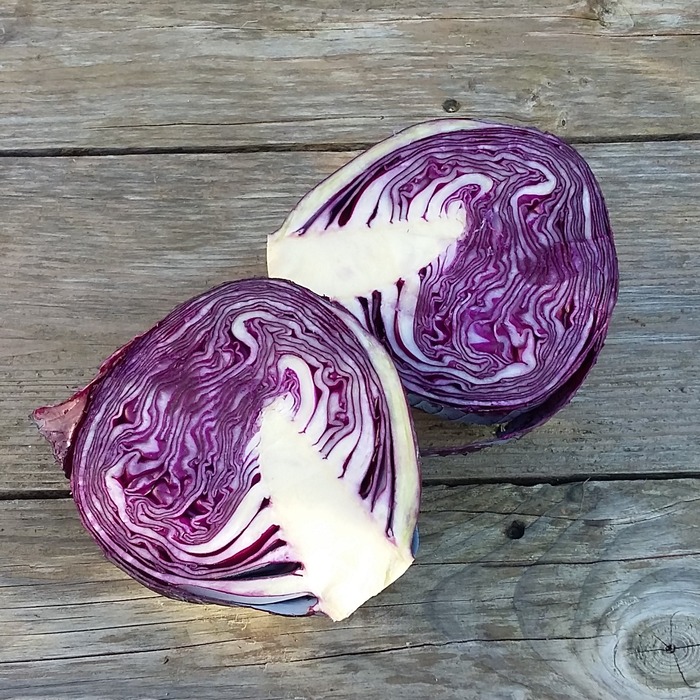 Chou Cabus Rouge Granat Graines Bio Les Semences De L Ombelle Chou Cabus Rouge Granat Graines Bio Les Semences De L Ombelle