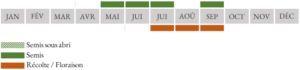calendrier sarrasin harpe