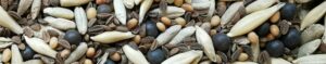 engrais verts